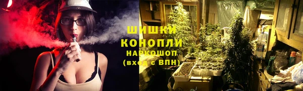 PSILOCYBIN Беслан