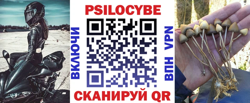 наркошоп  Чекалин  Галлюциногенные грибы Cubensis 